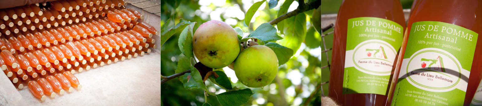 jus de pomme artisanal Ferme Lieu Bellemare Normandie