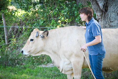 Stéphanie Raveneau Ferme Bellemare achat direct viande Calvados